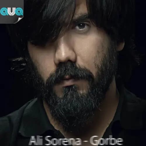 گربه